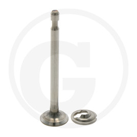 Briggs & Stratton Exhaust valve