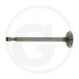 Briggs & Stratton Inlet valve