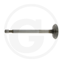 Briggs & Stratton Exhaust valve