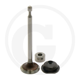 Briggs & Stratton Exhaust valve
