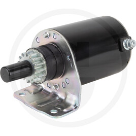 Briggs & Stratton Starter