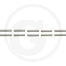 GRANIT Set of 10 needle bushes