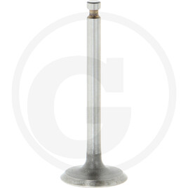 Yanmar Inlet valve