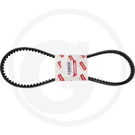 Yanmar V-belt