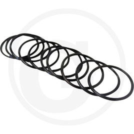 Yanmar O-ring
