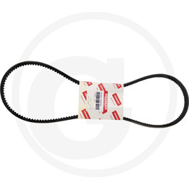 Yanmar V-belt