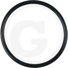 KS Tools O-Ring