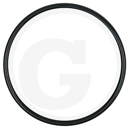 KS Tools O-Ring