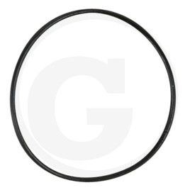 KS Tools O-Ring