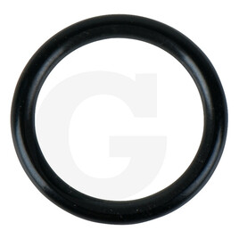 KS Tools O-Ring
