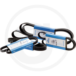 Dayco Ribbed belt