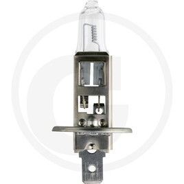 Philips Halogen bulb H1