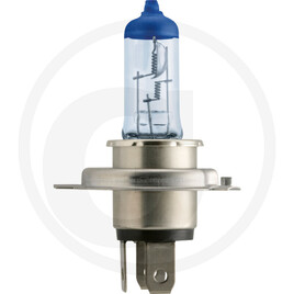 Philips Halogen bulb H4