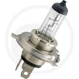 Philips Halogen bulb H4