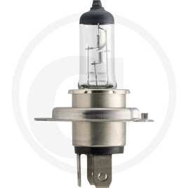 Philips Halogen bulb H4