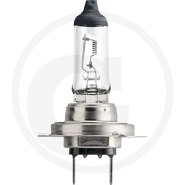 Philips Halogen bulb H7