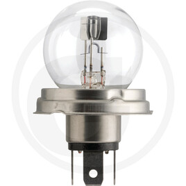 Philips Bilux R2 bulb