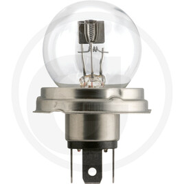 Philips Spherical bulb R2